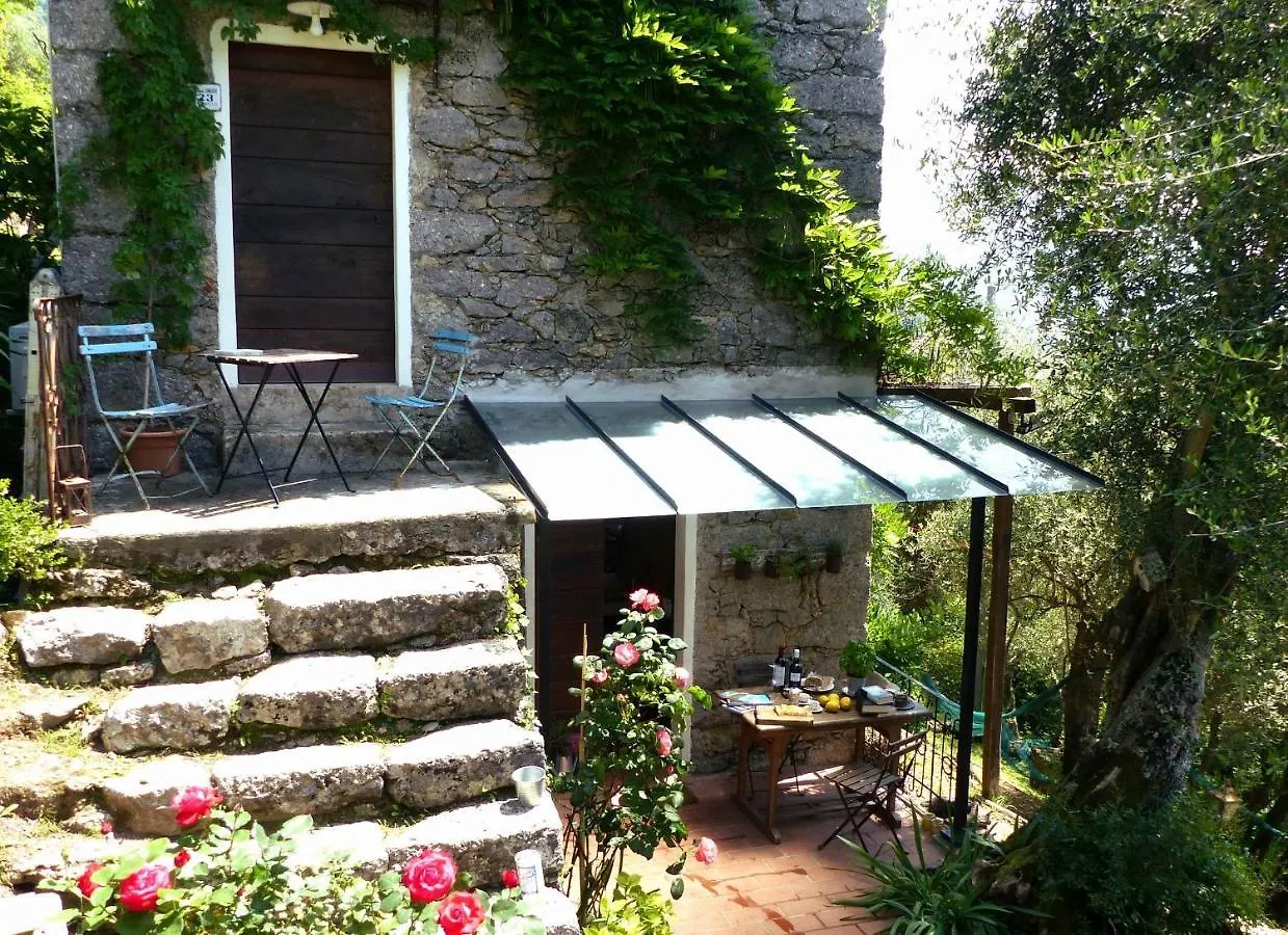 Il Giaggiolo Villa Camaiore Italy